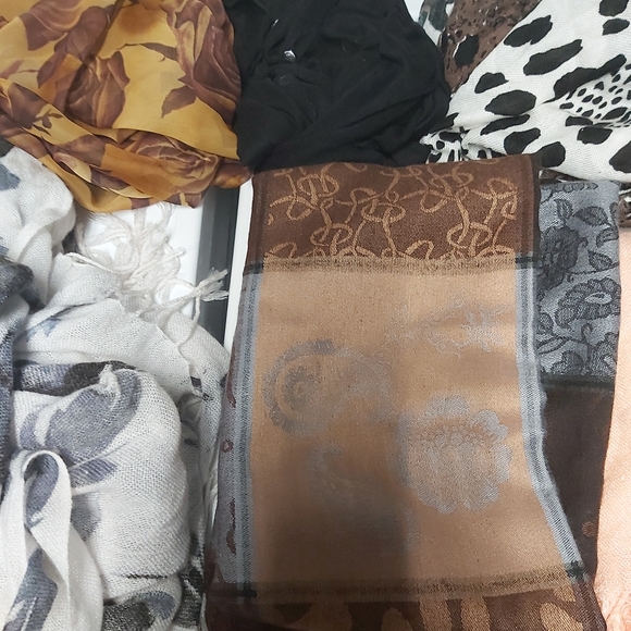 Huge Scarf Bundle (7 Scarves) - Picture 4 of 6